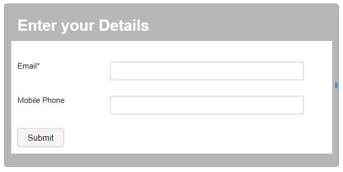 form-basic.JPG