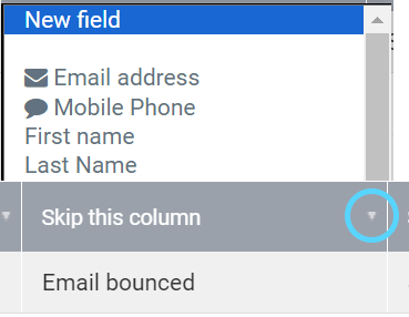 rename-field.png