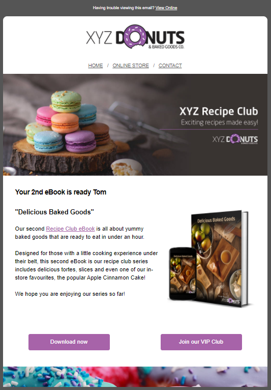 emailpreview-ebook2.PNG