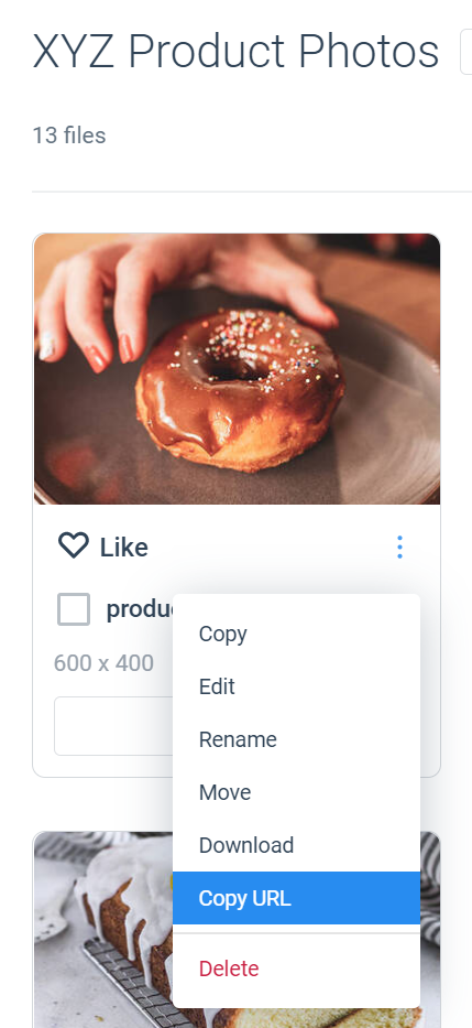 files-images-copyurl.PNG