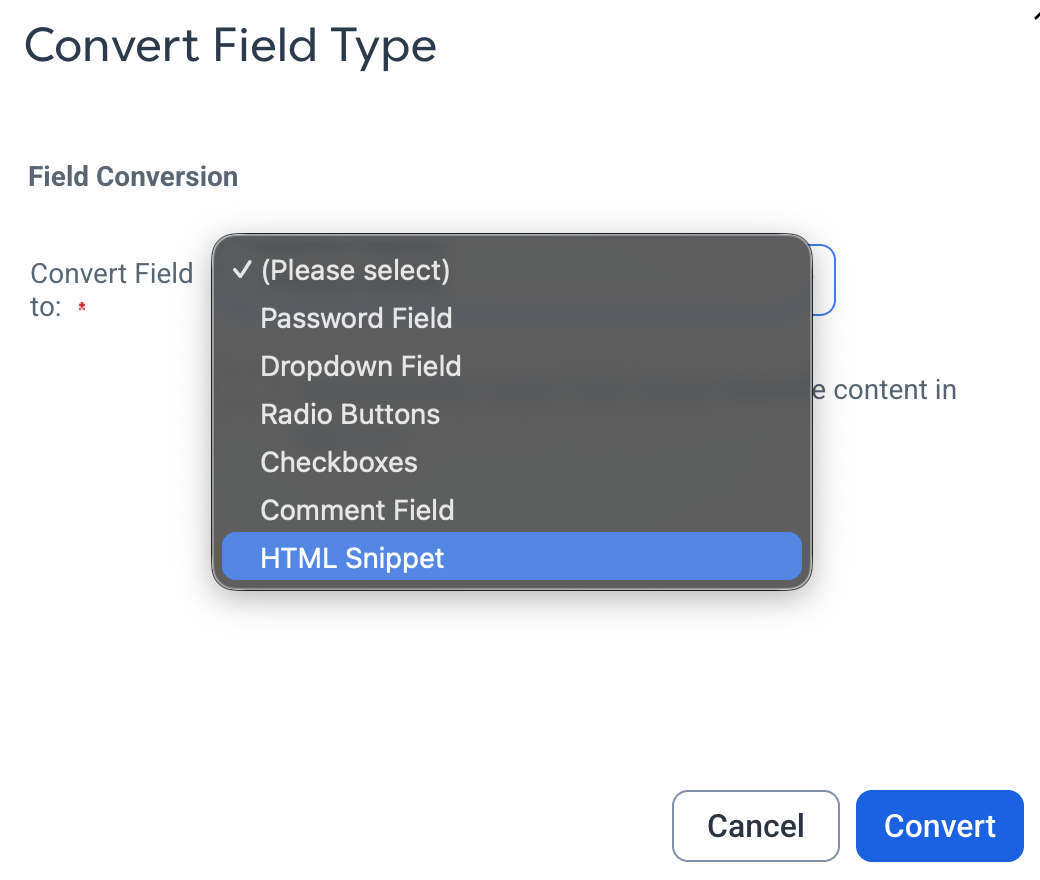 form-field-convert-html-snippet.png