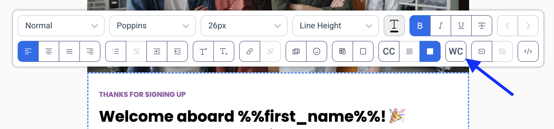icon_wildcard.png